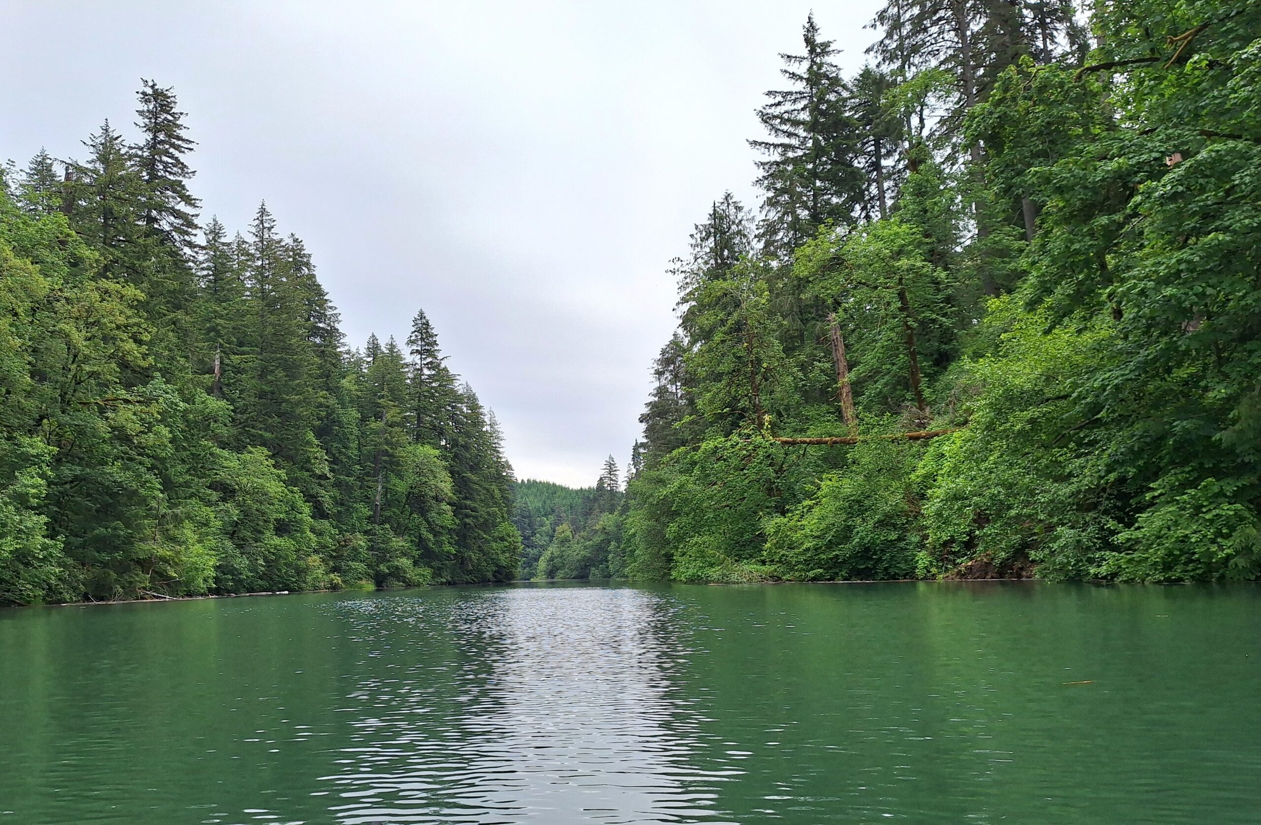 Foster Reservoir - Calkins Boat Ramp up Santiam River - Julie's ...